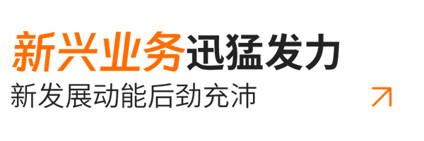 小标题03-新兴业务.png